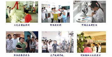 對外技術(shù)服務(wù)與培訓 提升企業(yè)核心競爭力的雙輪驅(qū)動