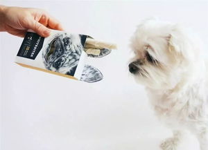 寵物食品包裝設(shè)計(jì)欣賞 藝術(shù)與功能的完美融合